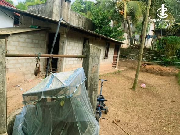 House for Sale in Gampaha - House for Sale in Gampaha - photo 2