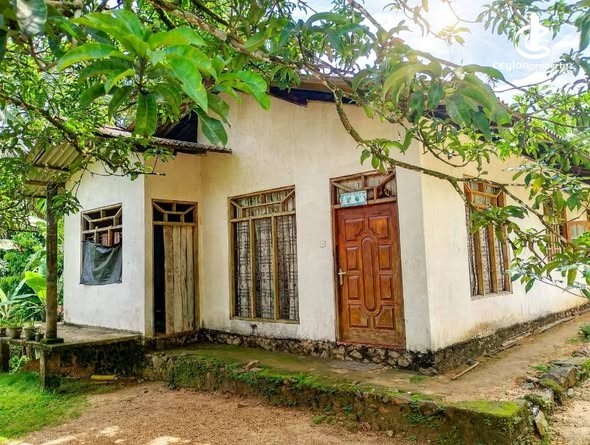 House for Sale in Ratnapura - House for Sale in Ratnapura - photo 1