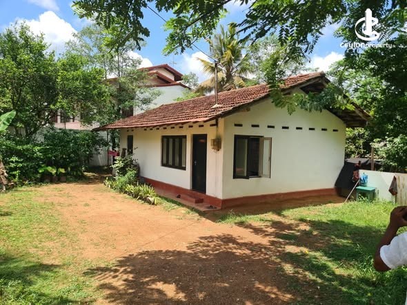 Land for Sale in Homagama - Land for Sale in Homagama - photo 3