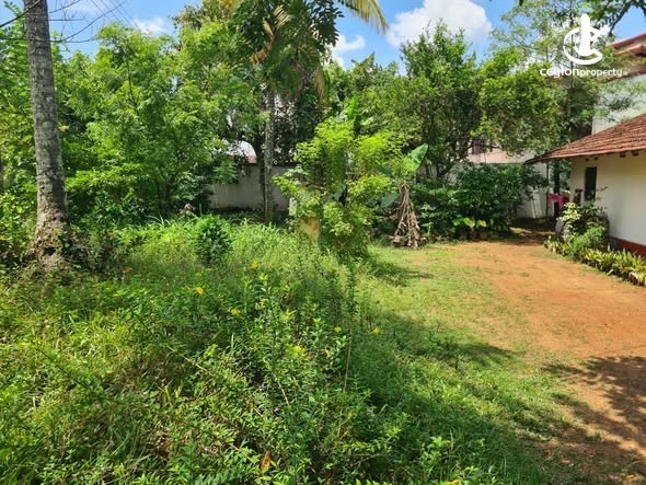 Land for Sale in Homagama - Land for Sale in Homagama - photo 5