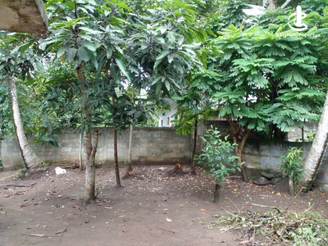 House for Sale in Kandy - House for sale in Kandy - photo 6