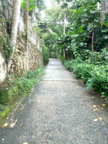 House for Sale in Kandy - House for sale in Kandy - photo 7