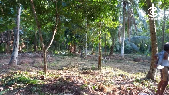 Land for Sale in Alawwa - Land for sale in Alawwa - photo 2