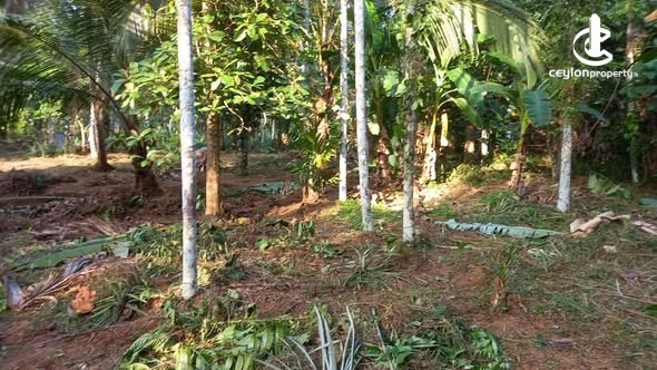 Land for Sale in Alawwa - Land for sale in Alawwa - photo 3