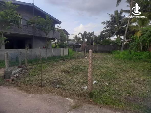 Land for Sale in Ja-Ela - Land for sale in Ja Ela - photo 3
