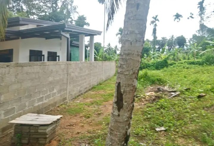 Land for Sale in Bandaragama - Land for sale in Bandaragama - photo 2