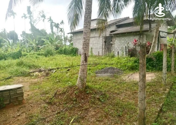 Land for Sale in Bandaragama - Land for sale in Bandaragama - photo 3