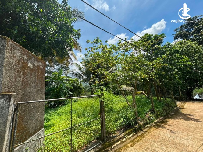 Land for Sale in Kaduwela - Land for sale in kaduwela - photo 2