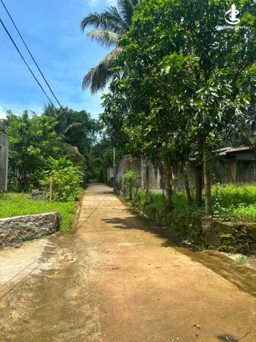 Land for Sale in Kaduwela - Land for sale in kaduwela - photo 5