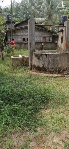 House for Sale in Gampaha - House for Sale in Gampaha - photo 2