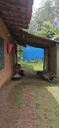 House for Sale in Gampaha - House for Sale in Gampaha - photo 4