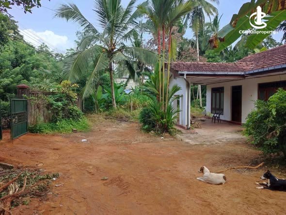House for Sale in Gampaha - House for Sale in Gampaha - photo 3