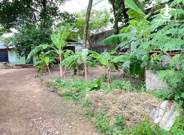 House for Sale in Kadawatha - House for Sale in Kadawatha - photo 2