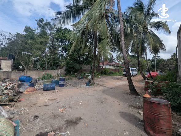 Land for Sale in Ragama - Land for Sale in Ragama - photo 3