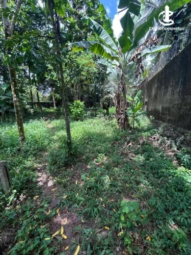 Land for Sale in Battaramulla - Land for Sale in Battaramulla - photo 2