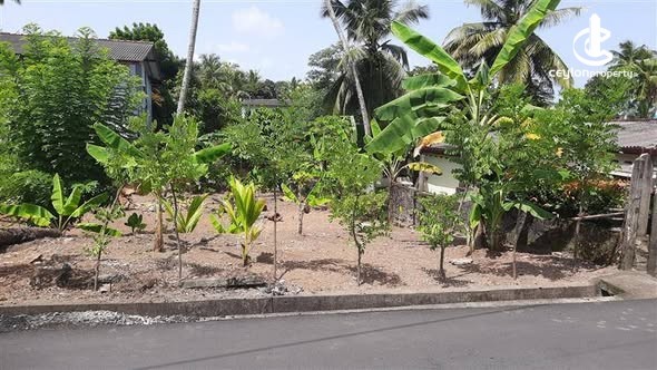 Land for Sale in Kottawa - Land for Sale in Kottawa - photo 3