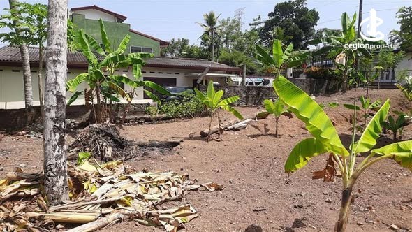 Land for Sale in Kottawa - Land for Sale in Kottawa - photo 4