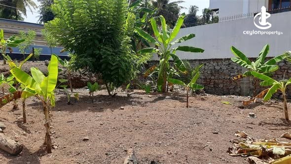 Land for Sale in Kottawa - Land for Sale in Kottawa - photo 5