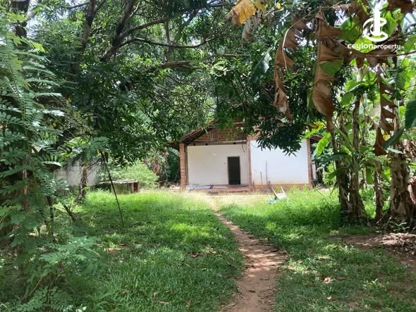 House for Sale in Ratnapura - House for Sale in Ratnapura - photo 1