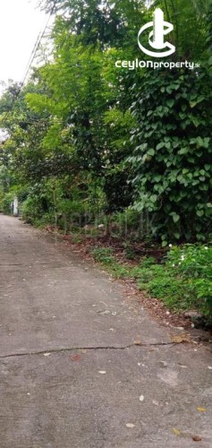 Land for Sale in Kadawatha - 18P Land for Sale 3km from Kadawatha - photo 4