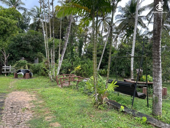 Land for Sale in Gampaha - Gampaha - Hiripitiya Large Coconut Land with a Large House for Sale - photo 1