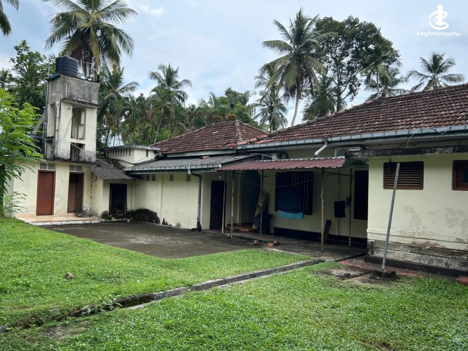 Land for Sale in Gampaha - Gampaha - Hiripitiya Large Coconut Land with a Large House for Sale - photo 7