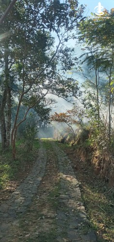 Land for Sale in Bandarawela - Udaha Walawwa – 3.30 Acre Estate with Scenic Mountain Views, Bandarawela for Sale - photo 1