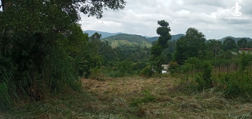 Land for Sale in Bandarawela - Udaha Walawwa – 3.30 Acre Estate with Scenic Mountain Views, Bandarawela for Sale - photo 4