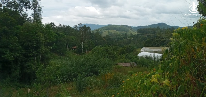 Land for Sale in Bandarawela - Udaha Walawwa – 3.30 Acre Estate with Scenic Mountain Views, Bandarawela for Sale - photo 5