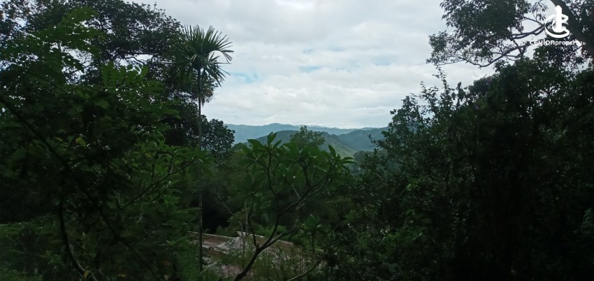 Land for Sale in Bandarawela - Udaha Walawwa – 3.30 Acre Estate with Scenic Mountain Views, Bandarawela for Sale - photo 7