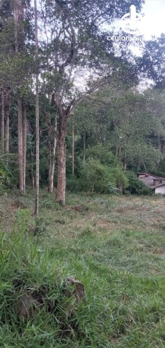 Land for Sale in Bandarawela - Udaha Walawwa – 3.30 Acre Estate with Scenic Mountain Views, Bandarawela for Sale - photo 8