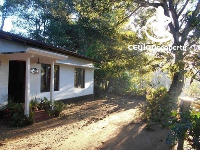 Land for Sale in Bandarawela - Udaha Walawwa – 3.30 Acre Estate with Scenic Mountain Views, Bandarawela for Sale - photo 9