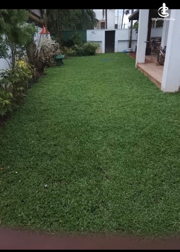 House for Rent in Thalawathugoda - Spacious Fully Furnished Luxury 05 Bed Rooms House for Rent in Thalawathugoda - photo 17
