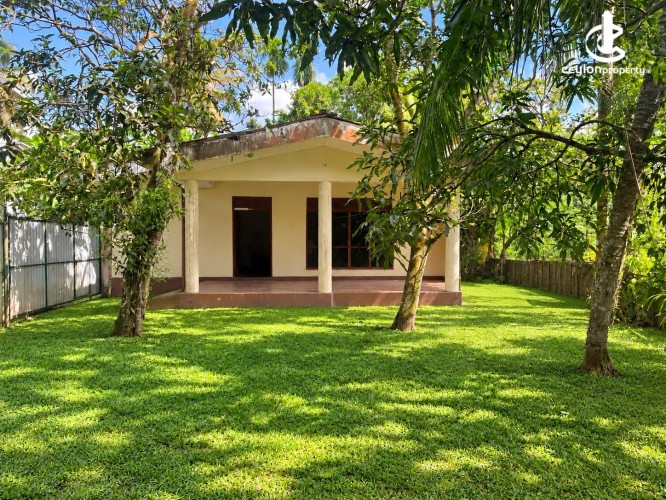 House for Sale in Polgasowita - Polgasowita - Wata Mawatha 03 Bedroom House on 20 Perches of Land for Sale - photo 1