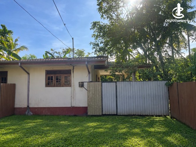 House for Sale in Polgasowita - Polgasowita - Wata Mawatha 03 Bedroom House on 20 Perches of Land for Sale - photo 7