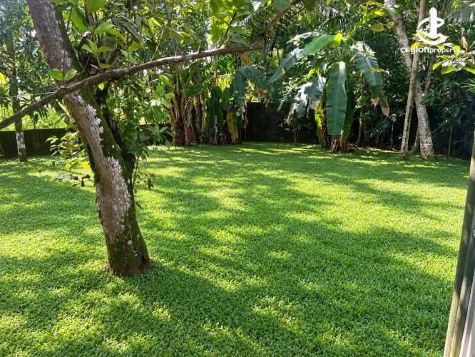 House for Sale in Polgasowita - Polgasowita - Wata Mawatha 03 Bedroom House on 20 Perches of Land for Sale - photo 8