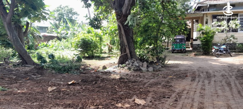 215 Perches of Prime Riverfront Land – Kelaniya