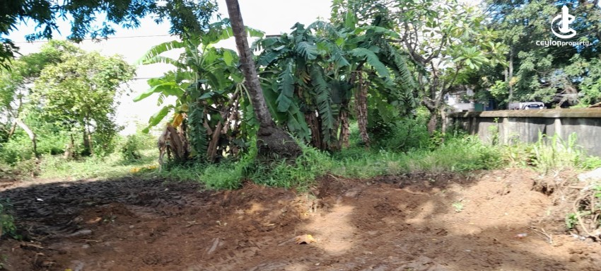 215 Perches of Prime Riverfront Land – Kelaniya