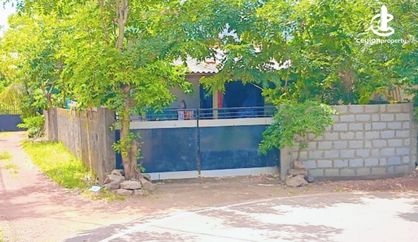House for Sale in Piliyandala - Land with a small house Sale in Piliyandala - photo 3