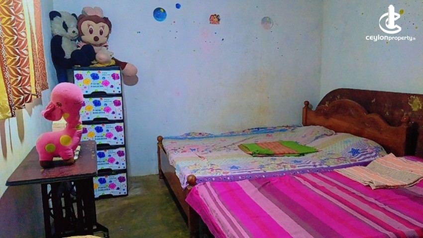House for Sale in Piliyandala - Land with a small house Sale in Piliyandala - photo 5