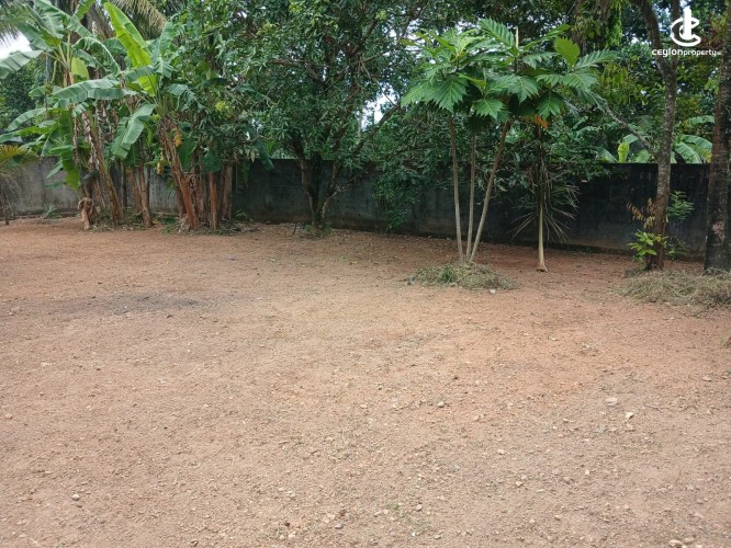 Land for Sale in Maharagama - VALUABLE LAND FOR SALE IN MAHARAGAMA - photo 1