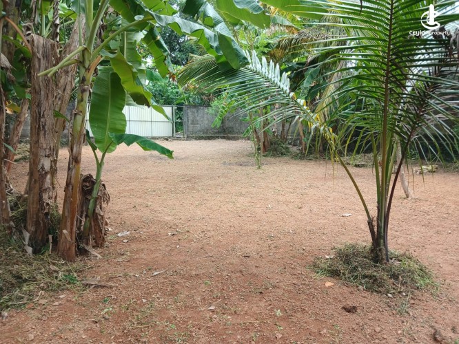 Land for Sale in Maharagama - VALUABLE LAND FOR SALE IN MAHARAGAMA - photo 2