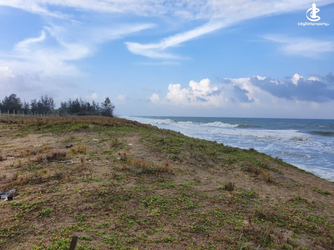 5 ACRES OF BEACHFRONT LAND FOR SALE IN POTTUVIL