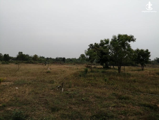 5 ACRES OF BEACHFRONT LAND FOR SALE IN POTTUVIL