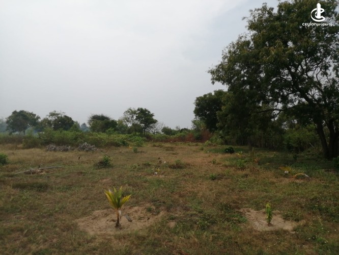 5 ACRES OF BEACHFRONT LAND FOR SALE IN POTTUVIL