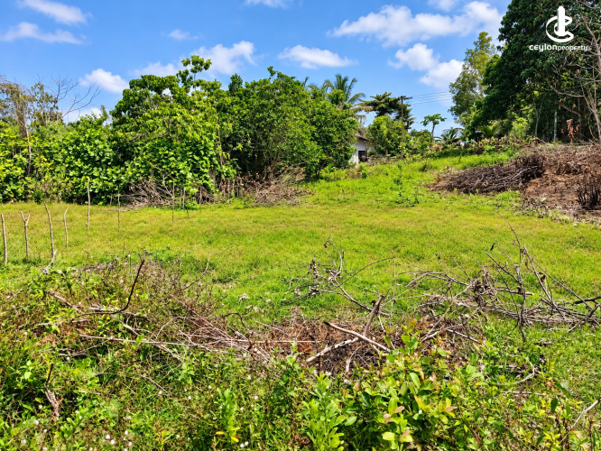 Land for Sale in Aluthgama - Commercial, Residential & Agricultural Land for Sale in Aluthgama - photo 1