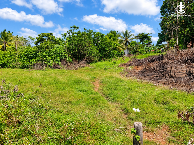 Land for Sale in Aluthgama - Commercial, Residential & Agricultural Land for Sale in Aluthgama - photo 3