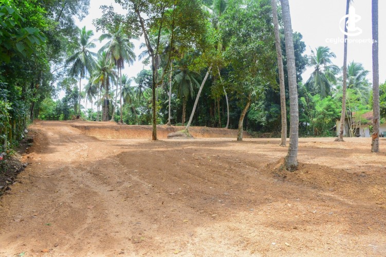 Land for Sale in Gampaha - Commercial Land For Sale in Gampaha - photo 2