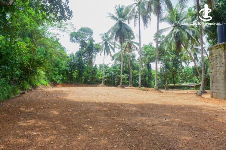 Land for Sale in Gampaha - Commercial Land For Sale in Gampaha - photo 3