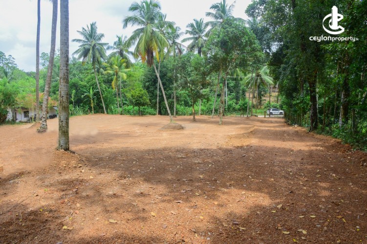 Land for Sale in Gampaha - Commercial Land For Sale in Gampaha - photo 4